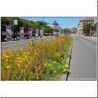 2021-07-10 Kiesbeet 2er-Linie 02.JPG